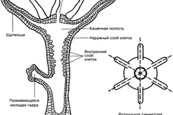 Кракен сайт работает